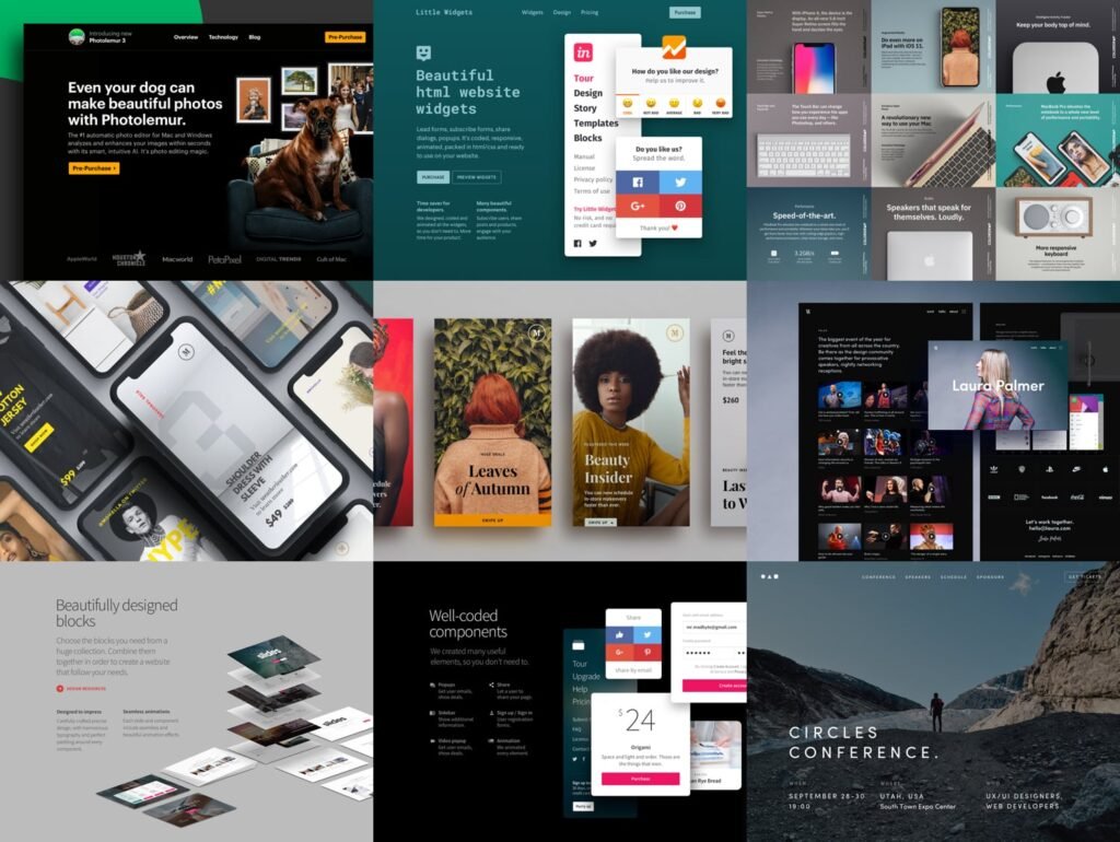 Web Design Portfolio Examples 