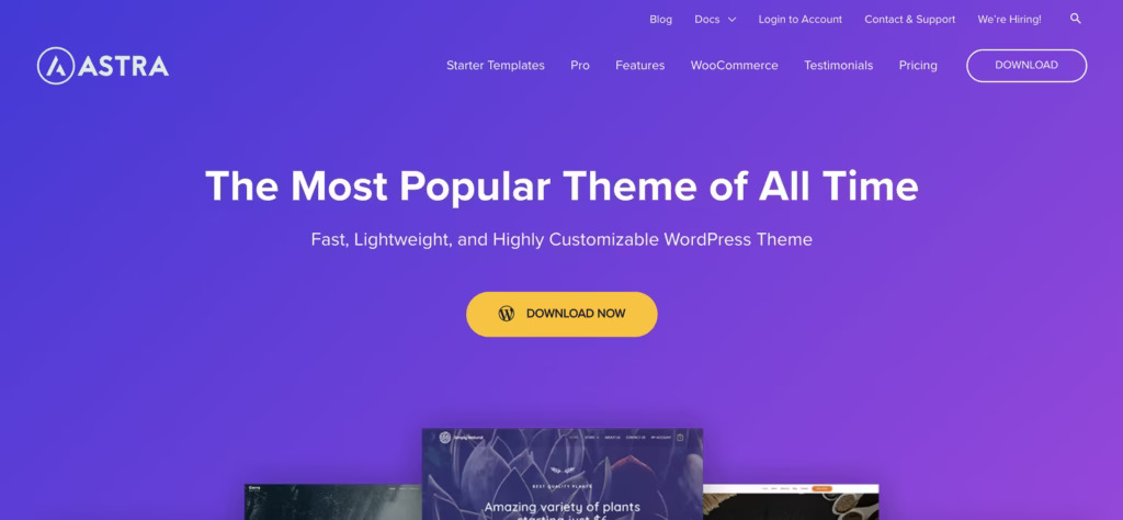 Astra Theme