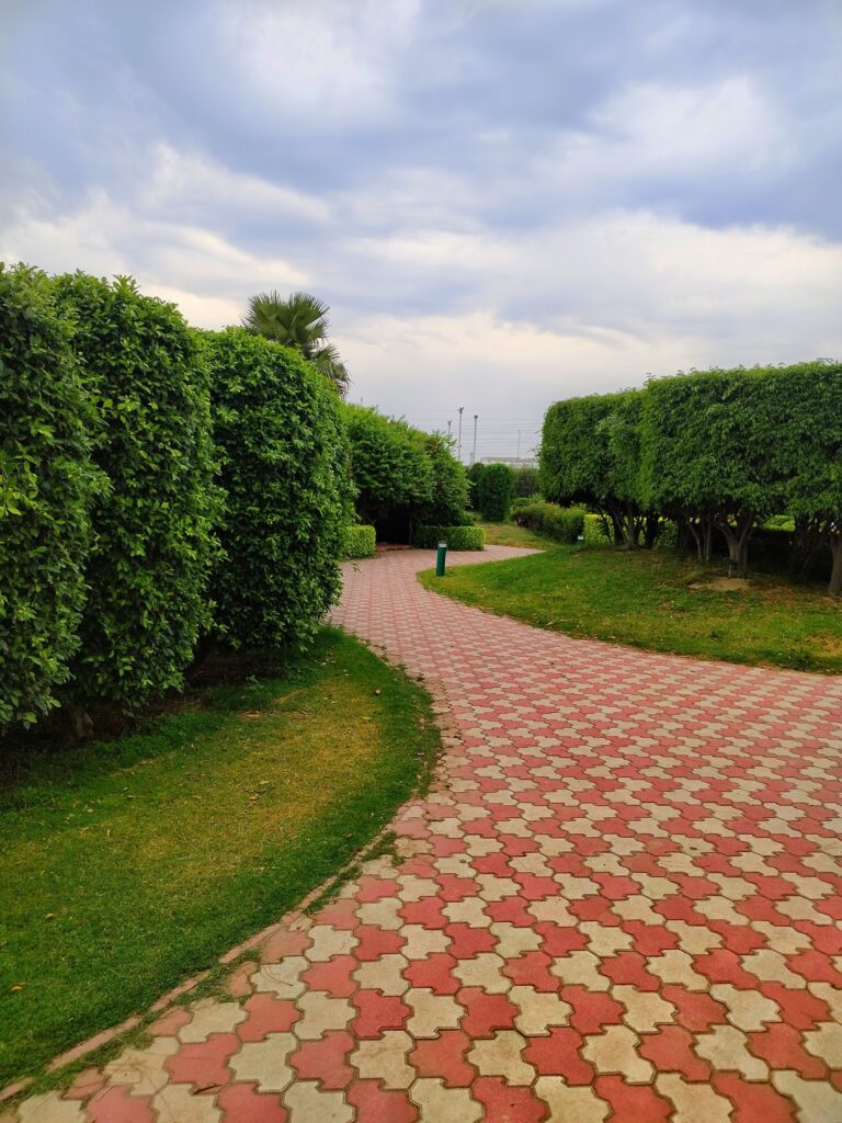 Best Digital Marketing Company for Landscaping in Bangalore