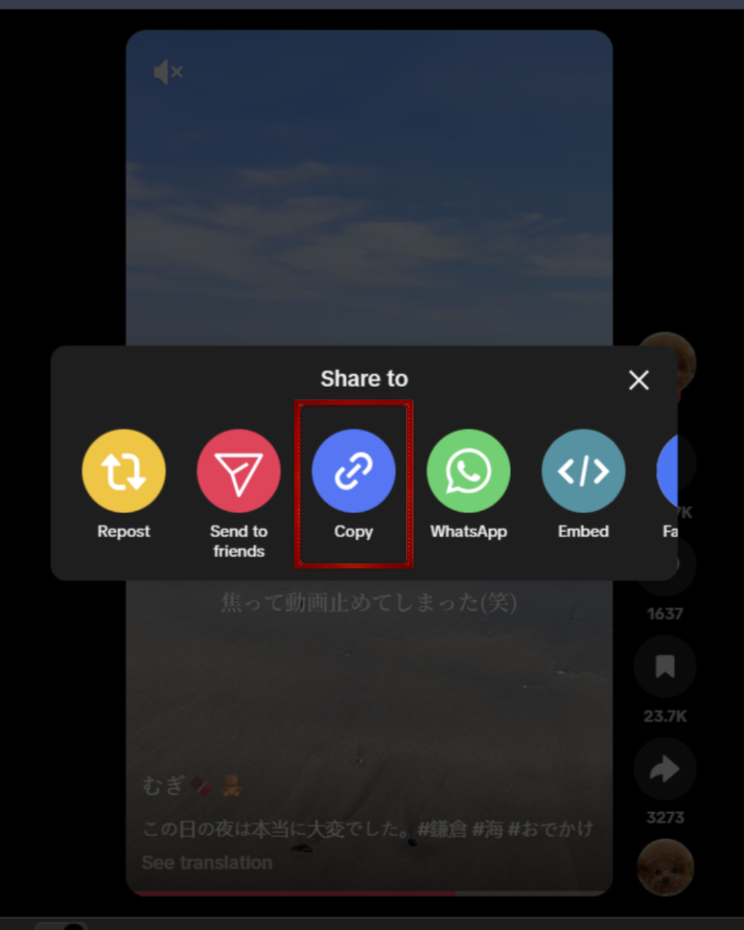 How to find a song from a TikTok video From link step copy link